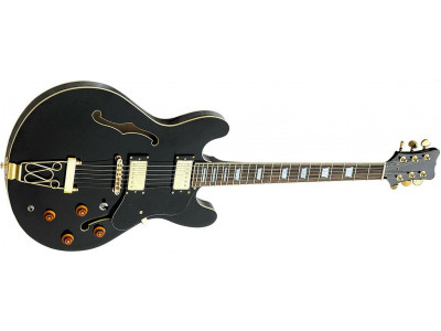 RS Guitars ES30, Halbresonanz, Black mit Gold Hardware